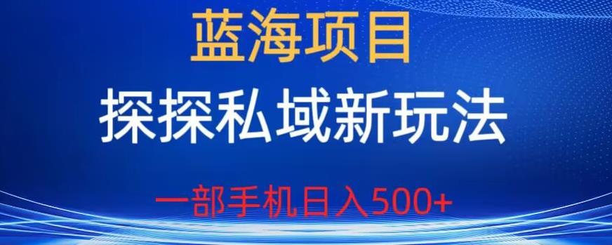 蓝海项目,探探私域新玩法,一部手机日入500+很轻松【揭秘】-则成副业项目资源站