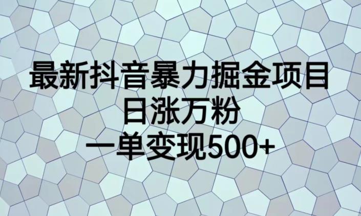 最新抖音暴力掘金项目，日涨万粉，一单变现500+【揭秘】-则成副业项目资源站