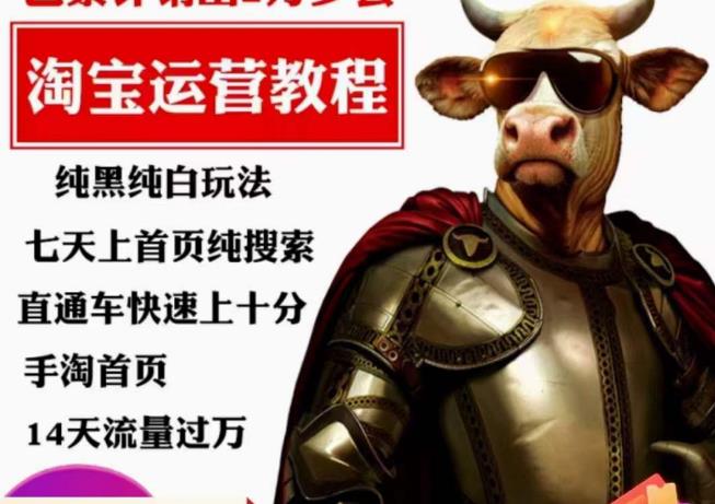 猫老师·淘系算法逆向解密,纯黑纯白玩法,七天上首页纯搜索,手淘首页14天流量过万-则成副业项目资源站