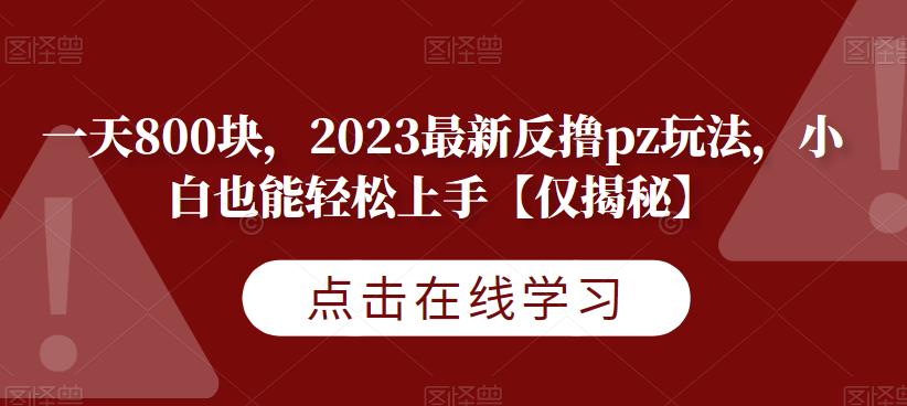 一天800块，2023最新反撸pz玩法，小白也能轻松上手【仅揭秘】-则成副业项目资源站