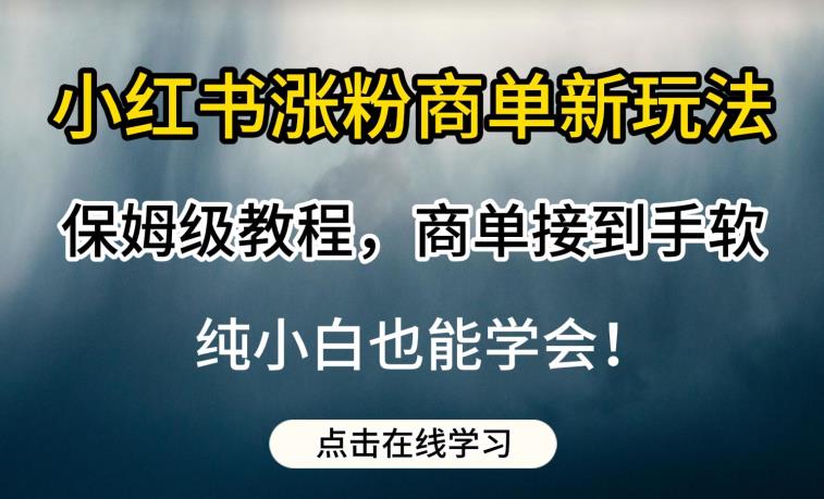 小红书涨粉商单新玩法,保姆级教程,商单接到手软,纯小白也能学会【揭秘】-则成副业项目资源站