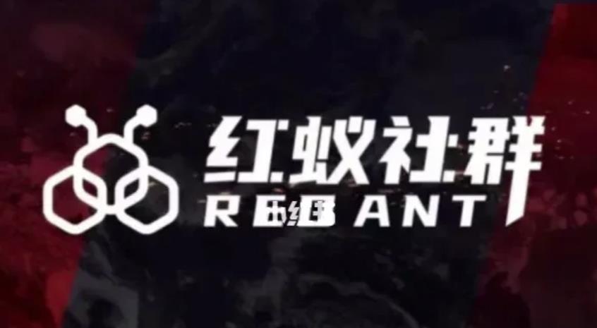 社群运营：红蚁社群【48节落地系统课程+2000人高端社群】-则成副业项目资源站