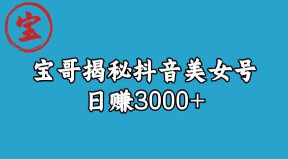 宝哥揭秘抖音美女号玩法,日赚3000+【揭秘】-则成副业项目资源站