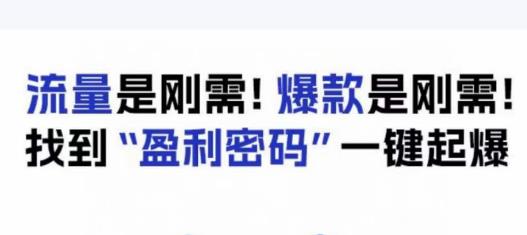 电商盈利精品课:6大盈利密码让产品更好卖,流量是刚需!爆款是刚需!找到”盈利密码”一键起爆-则成副业项目资源站