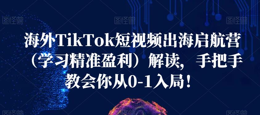 海外TikTok短视频出海启航营(学习精准盈利)解读,手把手教会你从0-1入局!-则成副业项目资源站