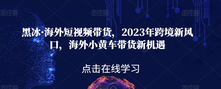 黑冰·海外短视频带货，2023年跨境新风口，海外小黄车带货新机遇-则成副业项目资源站