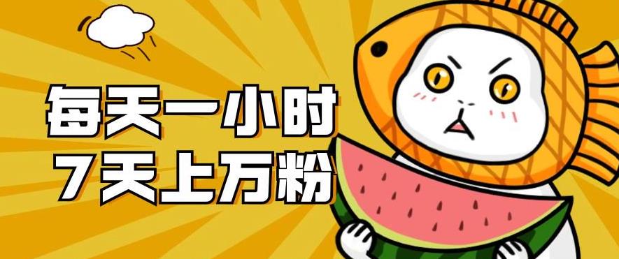 暴力涨粉项目:每天一小时,七天上万粉【揭秘】-则成副业项目资源站