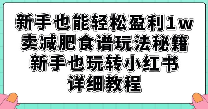 新手也能轻松盈利1w，卖减肥食谱玩法秘籍，新手也玩转小红书详细教程【揭秘】-则成副业项目资源站