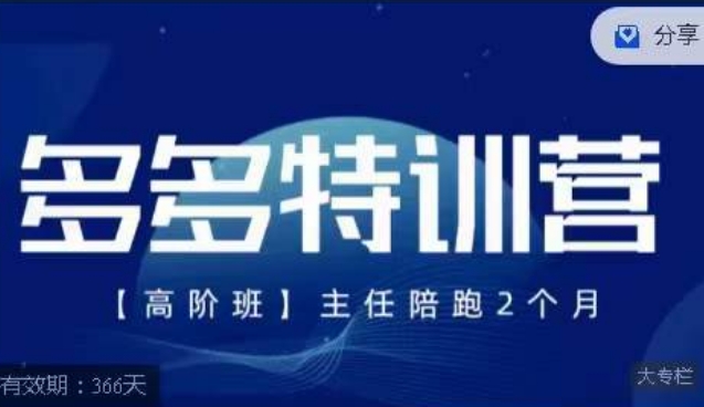 纪主任·多多特训营高阶班【9月13日更新】,拼多多最新玩法技巧落地实操-则成副业项目资源站