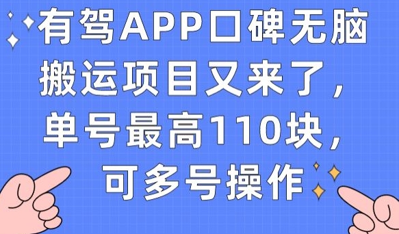 有驾APP口碑无脑搬运项目又来了，单号最高110块，可多号操作-则成副业项目资源站