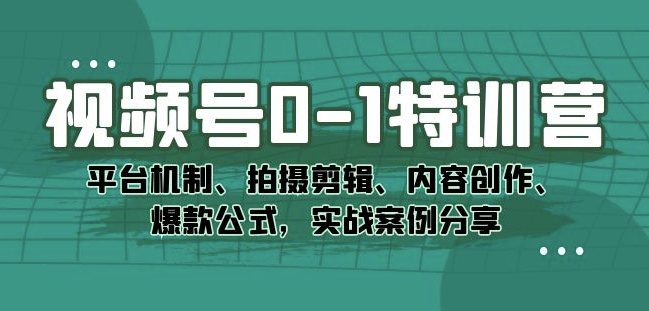 视频号0-1特训营:平台机制、拍摄剪辑、内容创作、爆款公式,实战案例分享-则成副业项目资源站