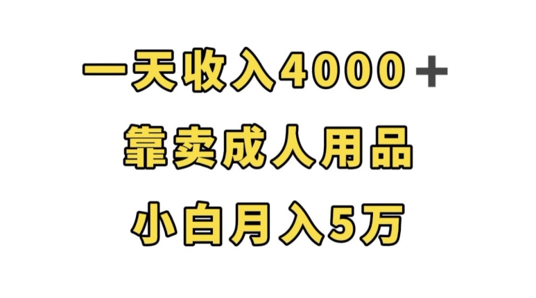 一天收入4000+,靠卖成人用品,小白轻松月入5万【揭秘】-则成副业项目资源站