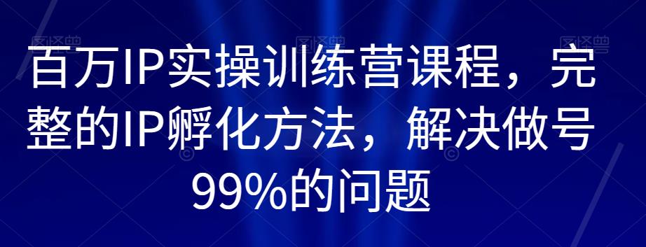 百万IP实操训练营课程,完整的IP孵化方法,解决做号99%的问题-则成副业项目资源站