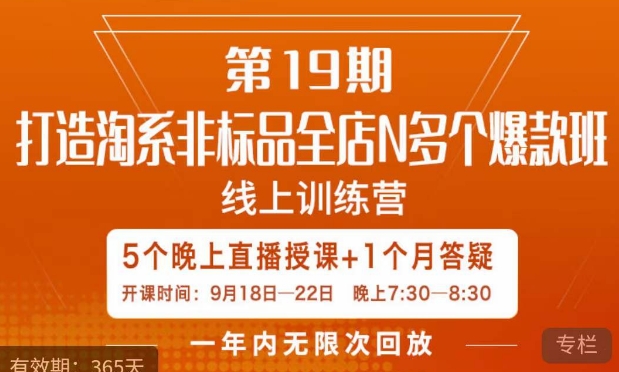 打造淘系非标全店N多个爆款线上课,5天直播课-则成副业项目资源站