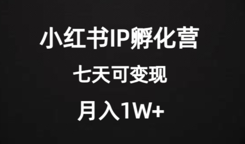价值2000+的小红书IP孵化营项目,超级大蓝海,七天即可开始变现,稳定月入1W+-则成副业项目资源站
