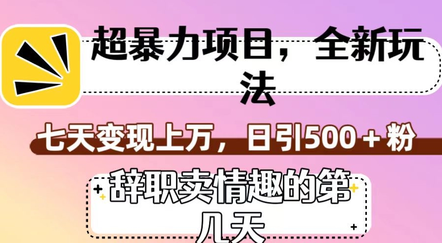 超暴利项目，全新玩法（辞职卖情趣的第几天），七天变现上万，日引500+粉【揭秘】-则成副业项目资源站