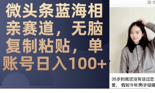 微头条蓝海相亲赛道，无脑复制粘贴，单账号日入100+-则成副业项目资源站