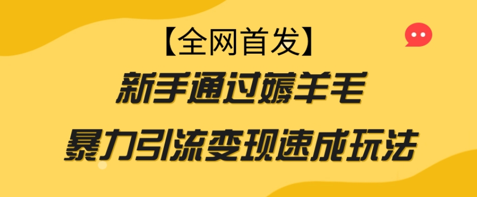 【全网首发】新手通过薅羊毛暴力引流变现速成玩法-则成副业项目资源站