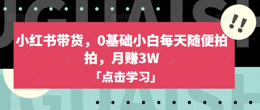 小红书带货，0基础小白每天随便拍拍，月赚3W【揭秘】-则成副业项目资源站