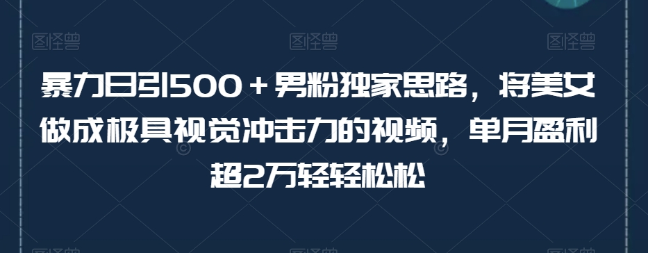 暴力日引500＋男粉独家思路，将美女做成极具视觉冲击力的视频，单月盈利超2万轻轻松松-则成副业项目资源站