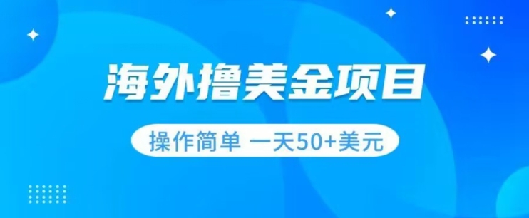撸美金项目无门槛操作简单小白一天50+美刀-则成副业项目资源站