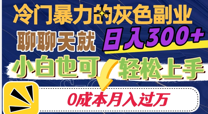 冷门暴利的副业项目，聊聊天就能日入300+，0成本月入过万【揭秘】-则成副业项目资源站