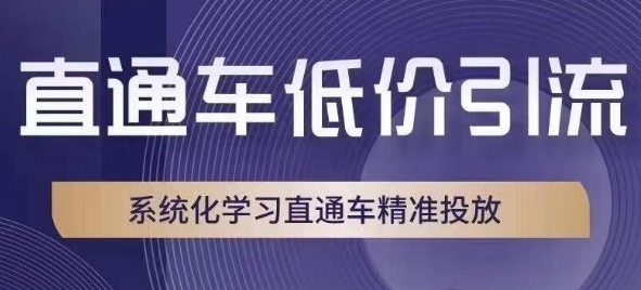 直通车低价引流课,系统化学习直通车精准投放-则成副业项目资源站