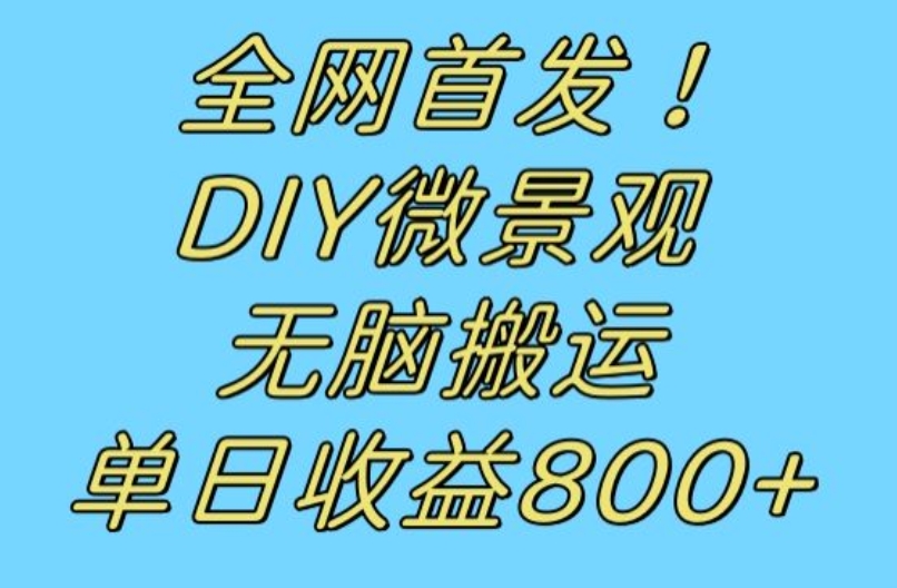 全网首发冷门赛道!DIY微景观,无脑搬运视频,日收益800+【揭秘】-则成副业项目资源站