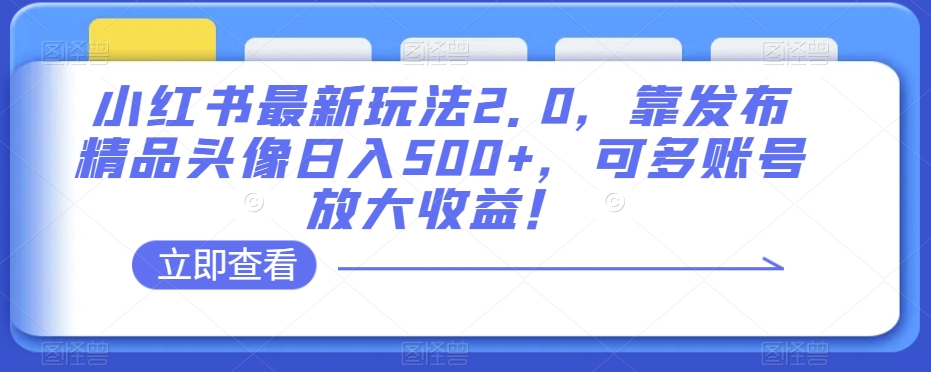 小红书最新玩法2.0，靠发布精品头像日入500+，可多账号放大收益！【揭秘】-则成副业项目资源站
