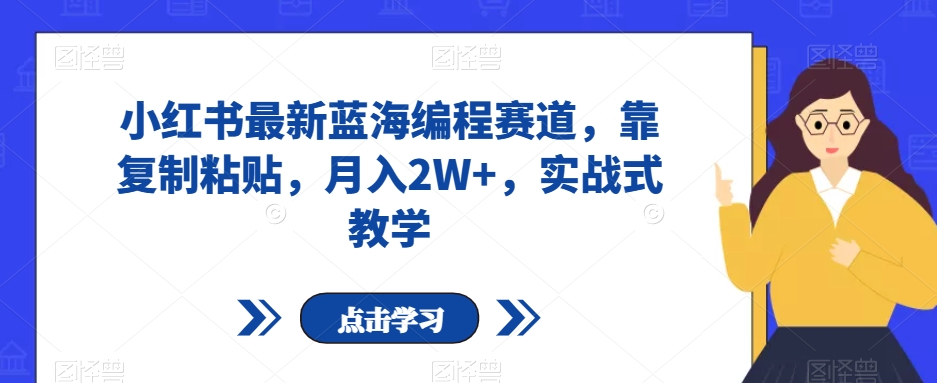 小红书最新蓝海编程赛道，靠复制粘贴，月入2W+，实战式教学【揭秘】-则成副业项目资源站