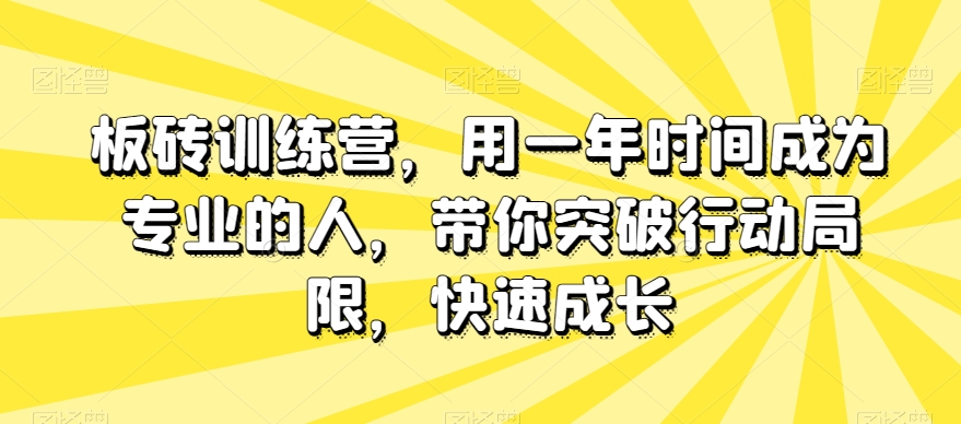 板砖训练营,用一年时间成为专业的人,带你突破行动局限,快速成长-则成副业项目资源站