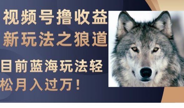 视频号撸收益新玩法之狼道,目前蓝海玩法,轻松月入过万【揭秘】-则成副业项目资源站