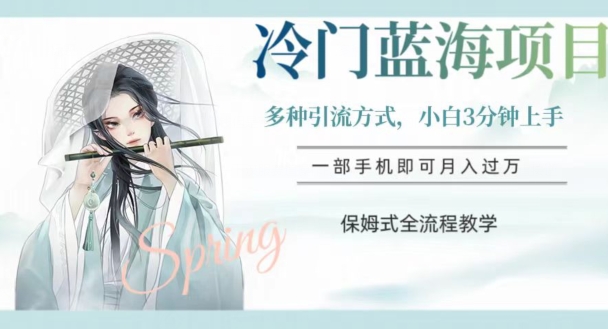 冷门蓝海项目，操作简单，小白3分钟上手，多种引流方式，保姆式全流程教学【揭秘】-则成副业项目资源站