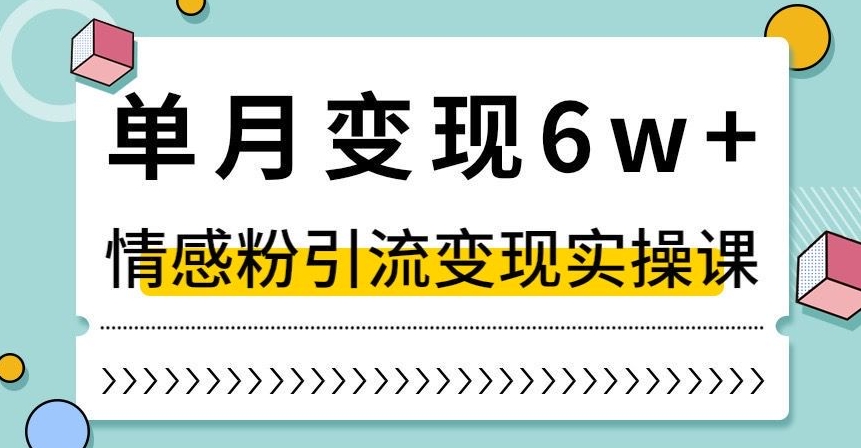 单月变现6W+，抖音情感粉引流变现实操课，小白可做，轻松上手，独家赛道【揭秘】-则成副业项目资源站