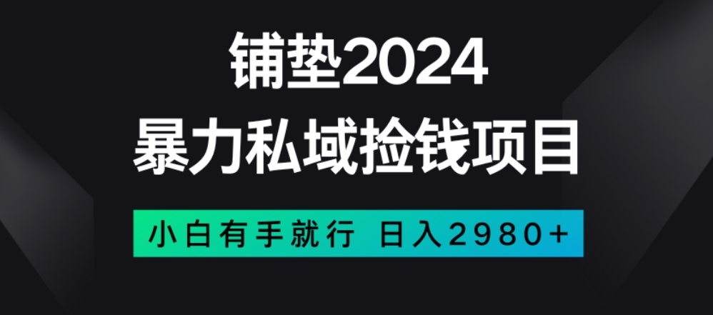 暴力私域捡钱项目，小白无脑操作，日入2980【揭秘】-则成副业项目资源站