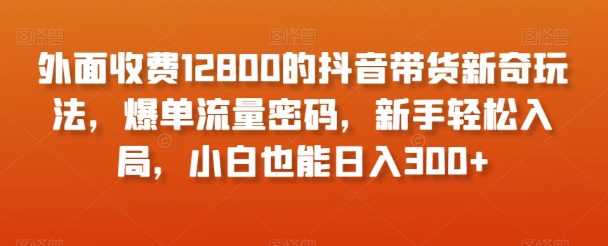 外面收费12800的抖音带货新奇玩法，爆单流量密码，新手轻松入局，小白也能日入300+【揭秘】-则成副业项目资源站