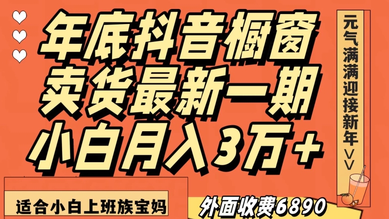 外面收费6890元年底抖音橱窗卖货最新一期,小白月入3万,适合小白上班族宝妈【揭秘】-则成副业项目资源站