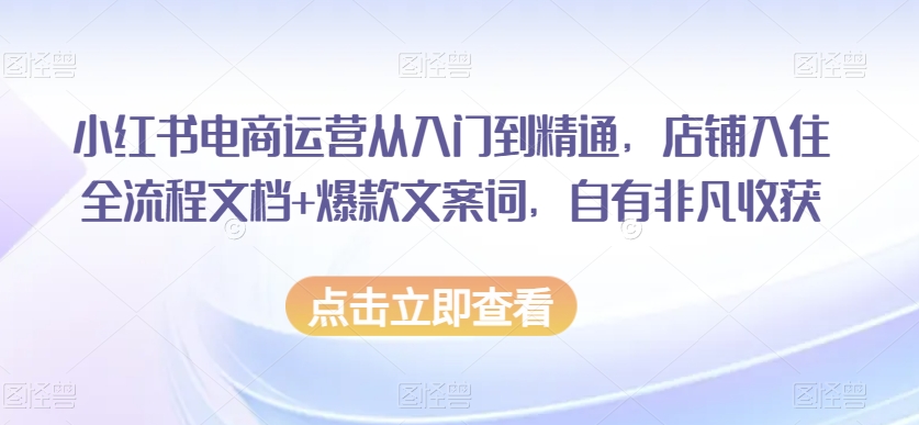 小红书电商运营从入门到精通，店铺入住全流程文档+爆款文案词，自有非凡收获-则成副业项目资源站