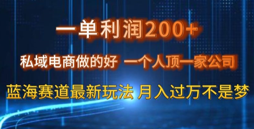 一单利润200私域电商做的好，一个人顶一家公司蓝海赛道最新玩法【揭秘】-则成副业项目资源站