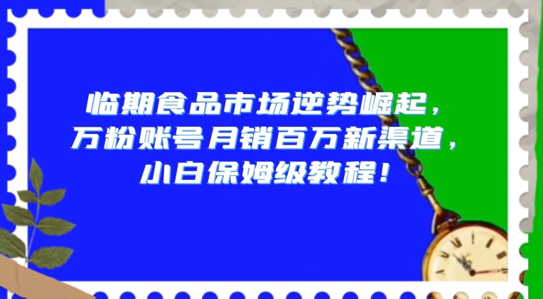 临期食品市场逆势崛起,万粉账号月销百万新渠道,小白保姆级教程【揭秘】-则成副业项目资源站