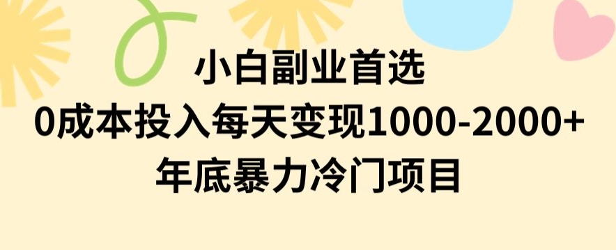 小白副业首选，0成本投入，每天变现1000-2000年底暴力冷门项目【揭秘】-则成副业项目资源站