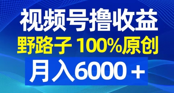 视频号野路子撸收益，100%原创，条条爆款，月入6000＋【揭秘】-则成副业项目资源站