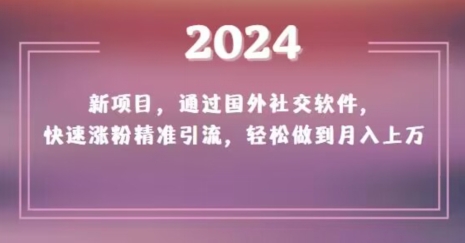 2024新项目,通过国外社交软件,快速涨粉精准引流,轻松做到月入上万【揭秘】-则成副业项目资源站