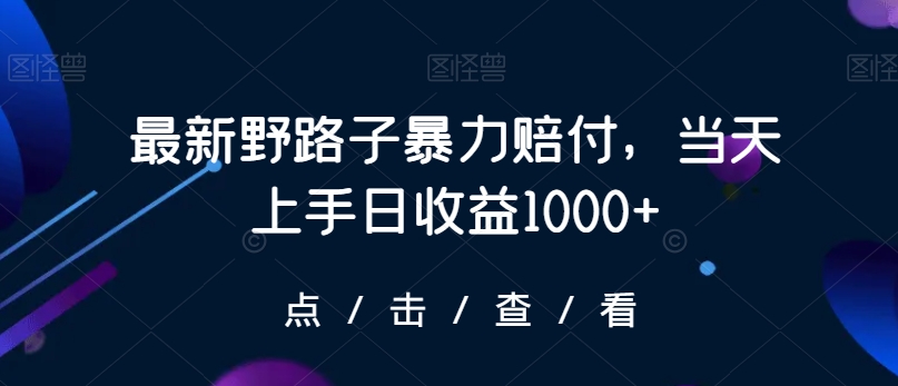 最新野路子暴力赔付，当天上手日收益1000+【仅揭秘】-则成副业项目资源站