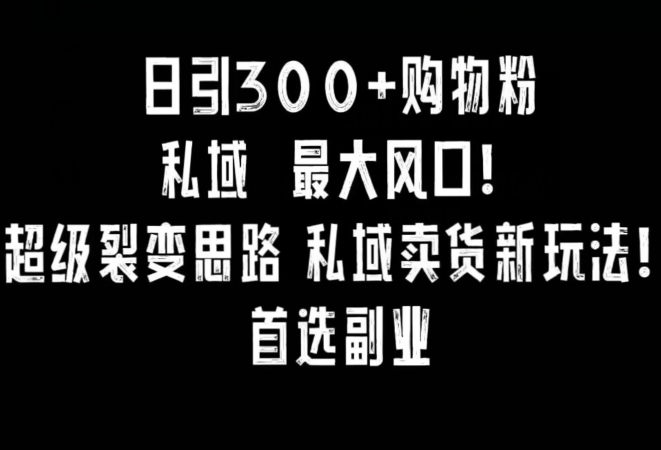 日引300+购物粉,超级裂变思路,私域卖货新玩法,小红书首选副业【揭秘】-则成副业项目资源站