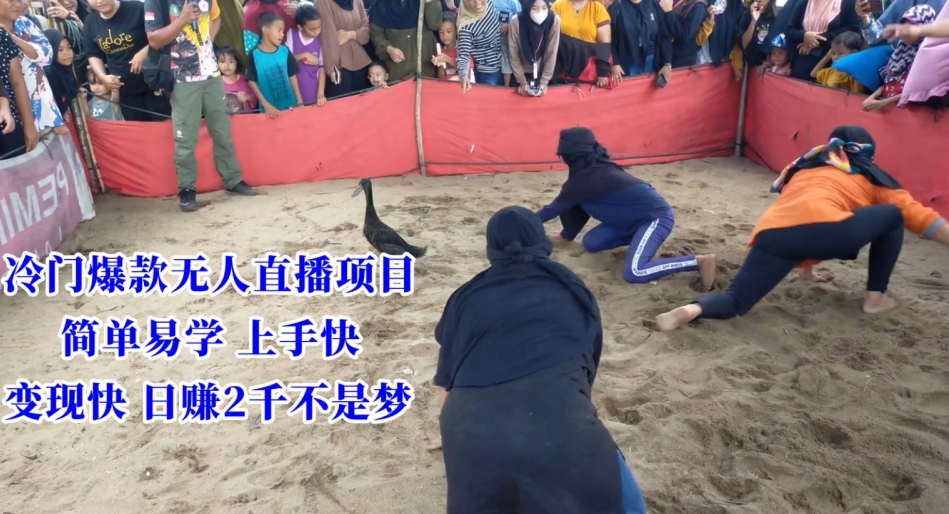 冷门爆款无人直播项目，简单易学上手快，变现快日赚2千不是梦【揭秘】-则成副业项目资源站