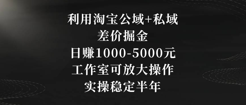 利用淘宝公域+私域差价掘金,日赚1000-5000元,工作室可放大操作,实操稳定半年【揭秘】-则成副业项目资源站