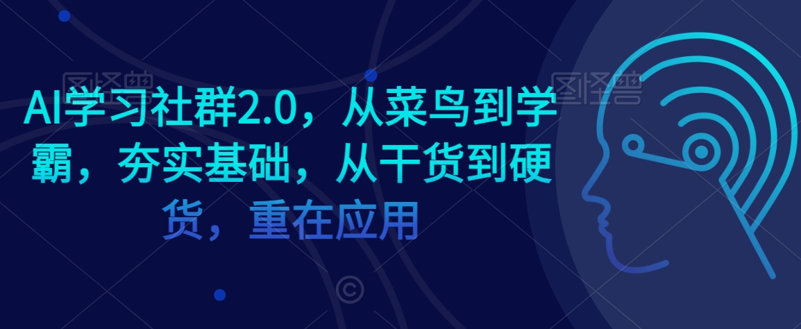 AI学习社群2.0，从菜鸟到学霸，夯实基础，从干货到硬货，重在应用-则成副业项目资源站