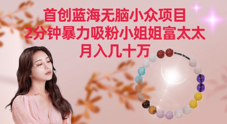 首创蓝海无脑小众项目,2分钟暴力吸粉小姐姐富太太,月入几十万【揭秘】-则成副业项目资源站