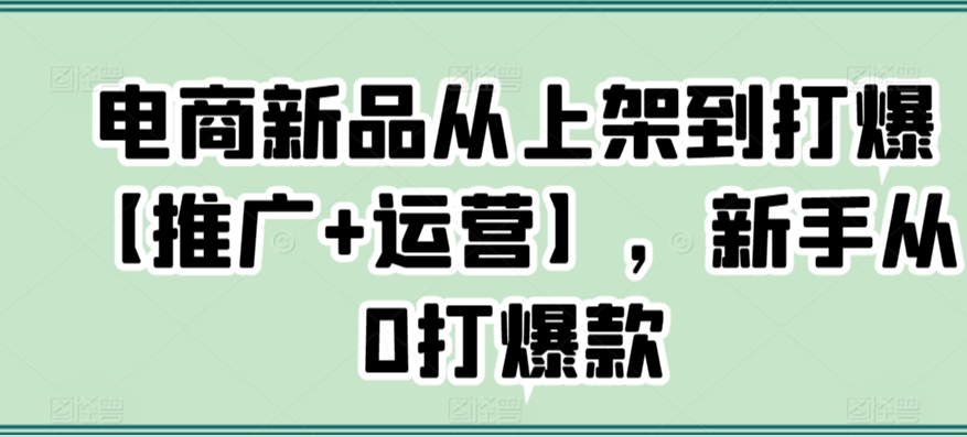 电商新品从上架到打爆【推广+运营】,新手从0打爆款-则成副业项目资源站